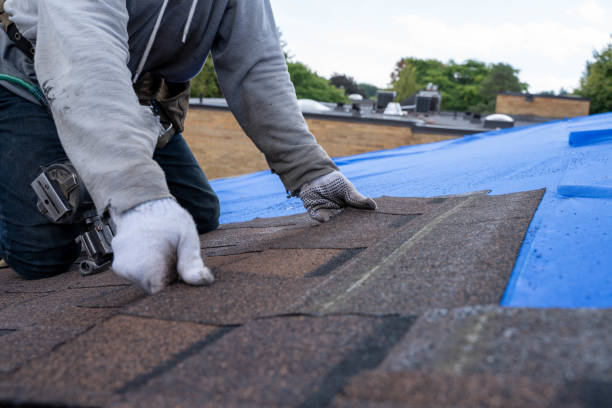 Best Storm Damage Roof Repair  in Clearfield, PA